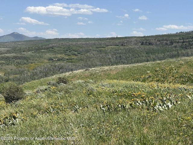 2964 Timberlane Dr, Craig, CO 81625