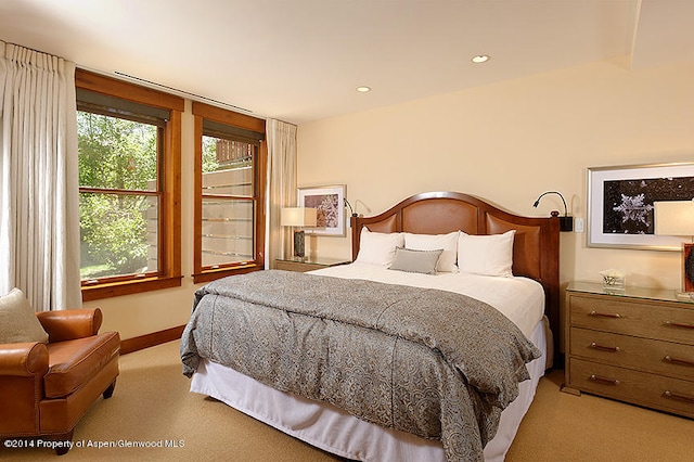 bedroom featuring light colored carpet