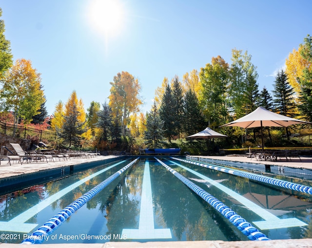 view of swimming pool featuring a patio