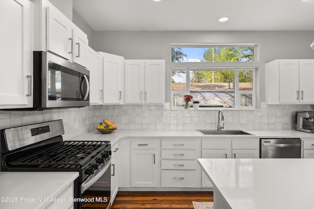 55 Bear Trl, Aspen, CO 81611 - photo 11