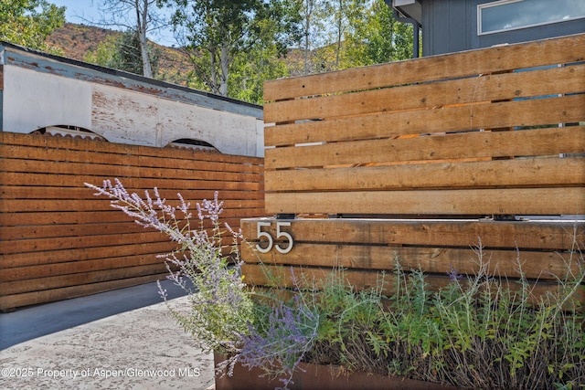 55 Bear Trl, Aspen, CO 81611 - photo 44