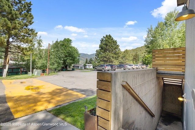 55 Bear Trl, Aspen, CO 81611 - photo 47