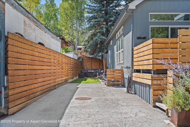 55 Bear Trl, Aspen, CO 81611 - photo 39