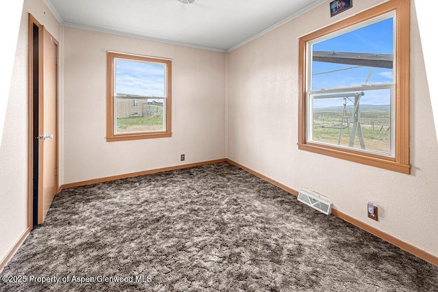 194 Hill Dr, Craig, CO 81625 - unfurnished bedroom with carpet flooring, crown molding, and baseboards