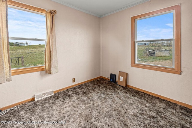 194 Hill Dr, Craig, CO 81625 - empty room with carpet floors, crown molding, and baseboards