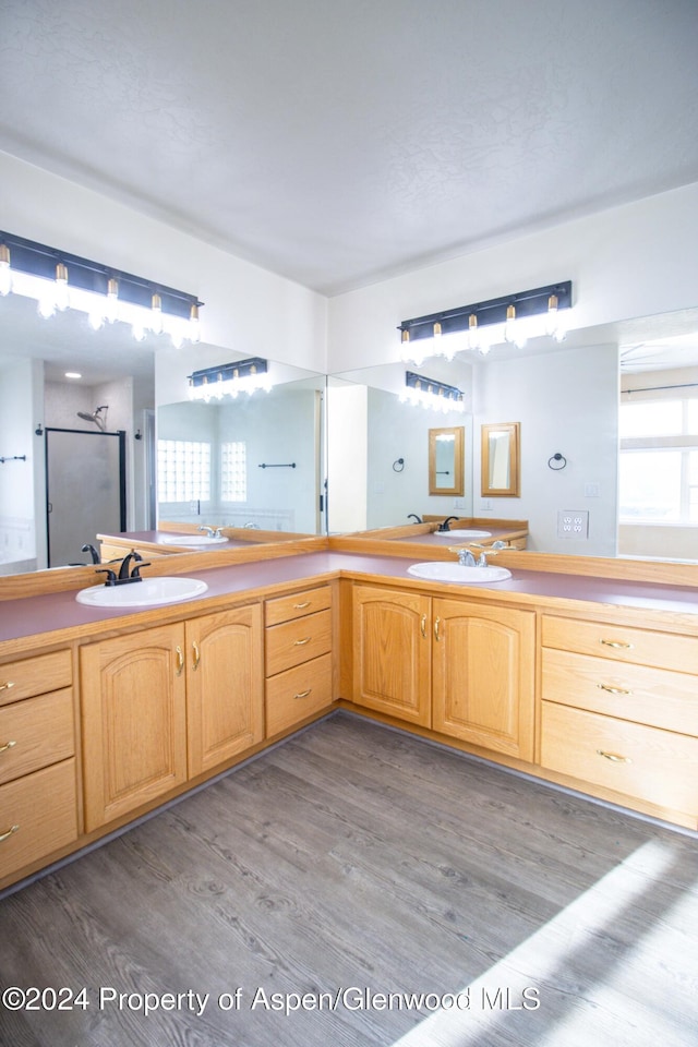 bathroom featuring hardwood / wood-style floors and vanity