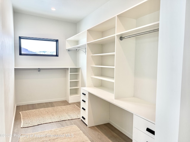 walk in closet featuring light hardwood / wood-style floors