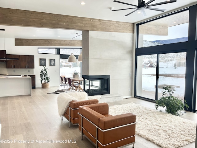 living room with light hardwood / wood-style flooring, a fireplace, plenty of natural light, and expansive windows