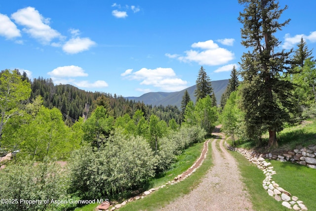 1373 Mclaughlin Ln, Basalt, CO 81621 - view of mountain background with a heavily wooded area