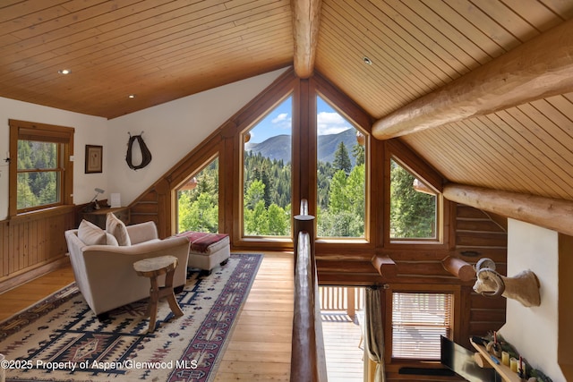 1373 Mclaughlin Ln, Basalt, CO 81621 - living room featuring wooden ceiling, a mountain view, wood-type flooring, and rustic walls
