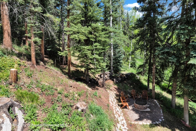 1373 Mclaughlin Ln, Basalt, CO 81621 - view of local wilderness