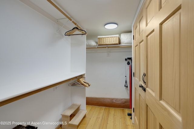 1373 Mclaughlin Ln, Basalt, CO 81621 - walk in closet featuring light wood-style flooring