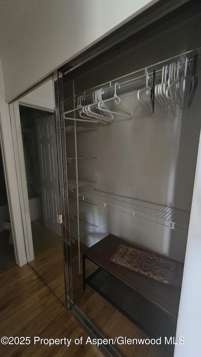 35 Campground Ln Unit E4, Snowmass Village, CO 81615 - view of closet