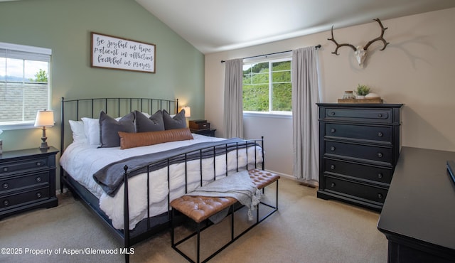 41 Red Cloud Ct, New Castle, CO 81647 - bedroom featuring carpet flooring and lofted ceiling