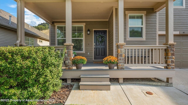 41 Red Cloud Ct, New Castle, CO 81647 - doorway to property featuring a porch