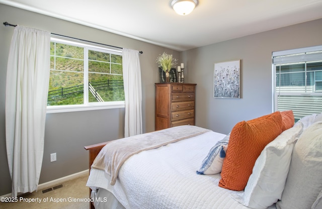 41 Red Cloud Ct, New Castle, CO 81647 - bedroom featuring light colored carpet and baseboards