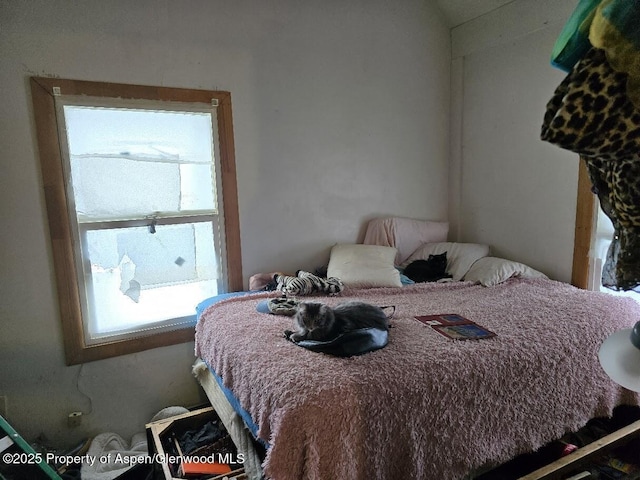 bedroom featuring multiple windows