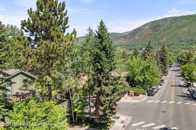 125 E Hyman Ave Unit 1A, Aspen, CO 81611 - view of mountain backdrop