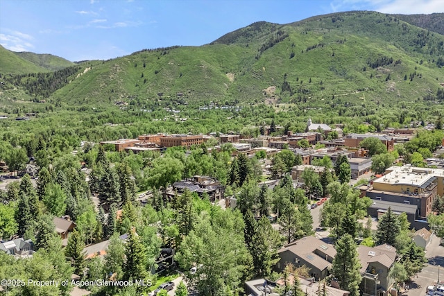 125 E Hyman Ave Unit 1A, Aspen, CO 81611 - view of mountain backdrop