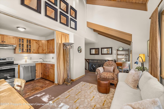 125 E Hyman Ave Unit 1A, Aspen, CO 81611 - kitchen featuring appliances with stainless steel finishes, light countertops, a high ceiling, glass insert cabinets, and open floor plan
