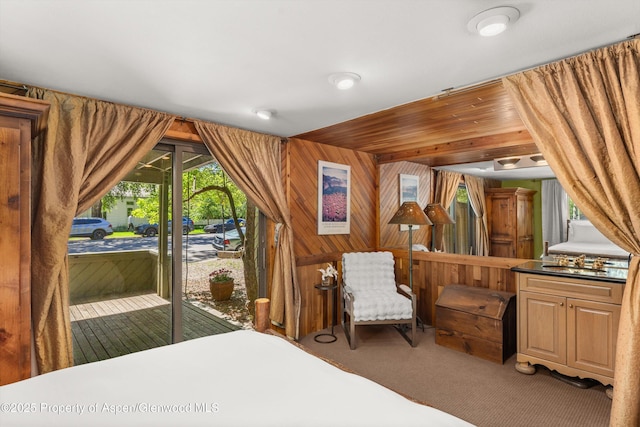 125 E Hyman Ave Unit 1A, Aspen, CO 81611 - carpeted bedroom featuring access to outside and a sink