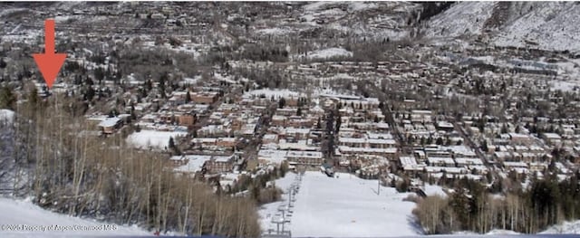 125 E Hyman Ave Unit 1A, Aspen, CO 81611 - snowy aerial view with a mountain view