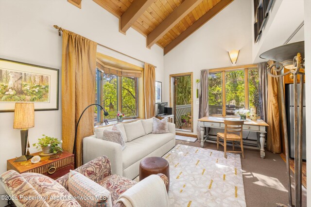 125 E Hyman Ave Unit 1A, Aspen, CO 81611 - living area featuring healthy amount of natural light, a wooden ceiling with exposed beams, carpet flooring, and high vaulted ceiling