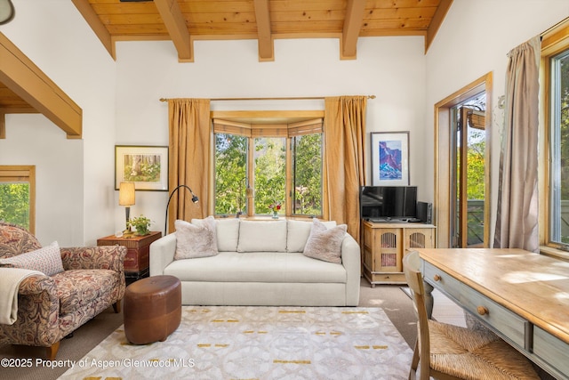 125 E Hyman Ave Unit 1A, Aspen, CO 81611 - living room with carpet floors and a wood ceiling with exposed beams