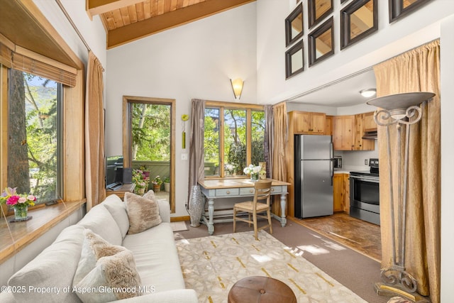 125 E Hyman Ave Unit 1A, Aspen, CO 81611 - living room with light colored carpet