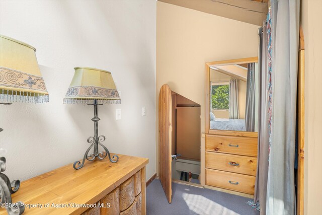 125 E Hyman Ave Unit 1A, Aspen, CO 81611 - interior space featuring carpet