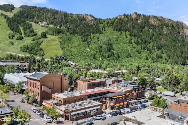 125 E Hyman Ave Unit 1A, Aspen, CO 81611 - bird's eye view of a heavily wooded area