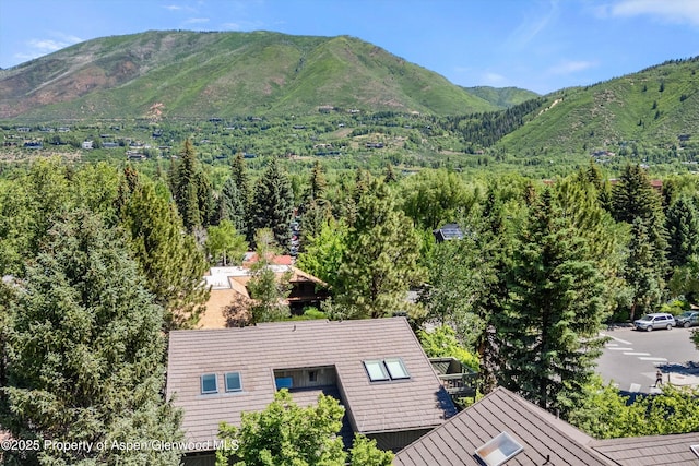 125 E Hyman Ave Unit 1A, Aspen, CO 81611 - view of mountain background with a heavily wooded area
