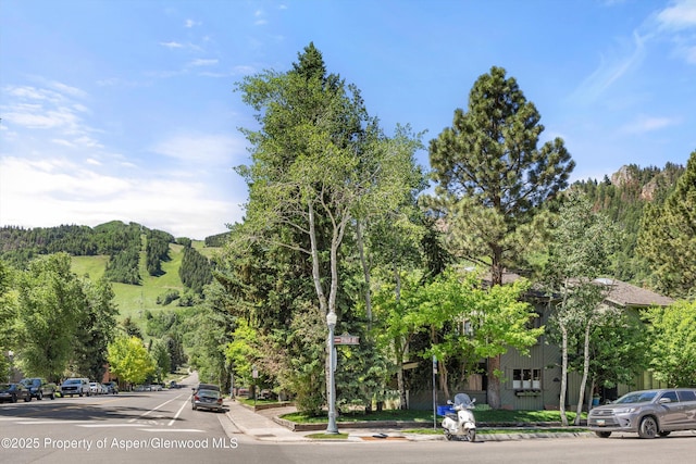 125 E Hyman Ave Unit 1A, Aspen, CO 81611 - view of asphalt road featuring street lights, curbs, and a forest view