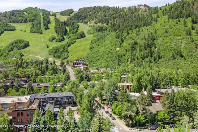 125 E Hyman Ave Unit 1A, Aspen, CO 81611 - drone / aerial view of a heavily wooded area