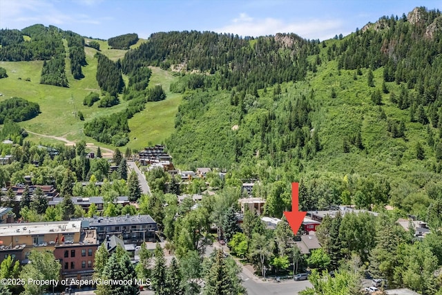 125 E Hyman Ave Unit 1A, Aspen, CO 81611 - photo 28