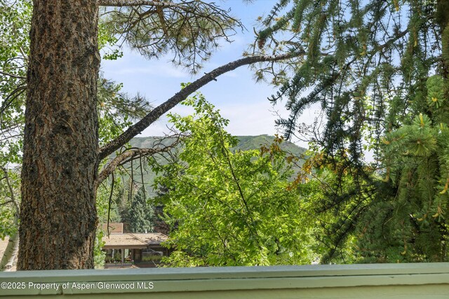 125 E Hyman Ave Unit 1A, Aspen, CO 81611 - exterior view