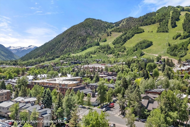 125 E Hyman Ave Unit 1A, Aspen, CO 81611 - view of mountain background with a forest