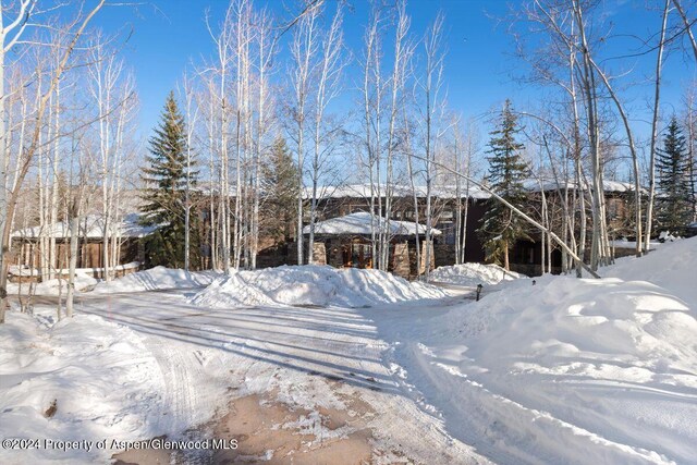 view of yard covered in snow