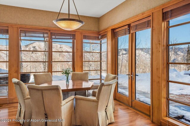 dining space with light hardwood / wood-style flooring, a healthy amount of sunlight, and french doors