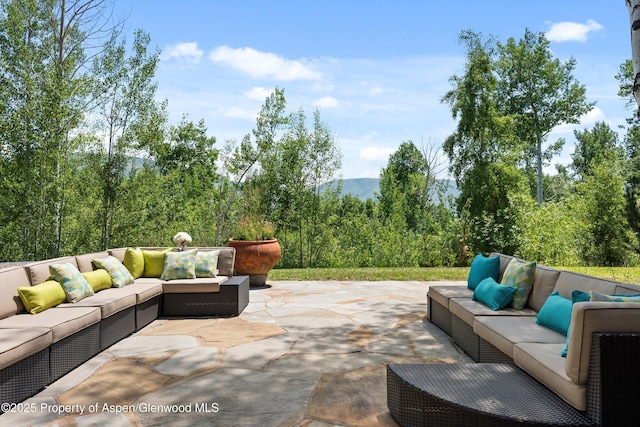 300 Eagle Pines Dr, Aspen, CO 81611 - photo 15