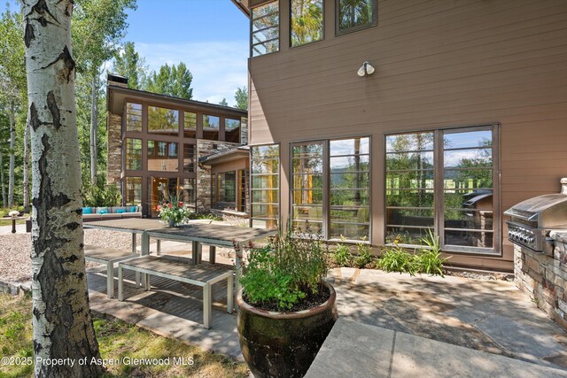 300 Eagle Pines Dr, Aspen, CO 81611 - photo 13