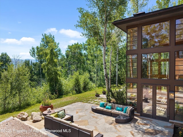 300 Eagle Pines Dr, Aspen, CO 81611 - photo 9