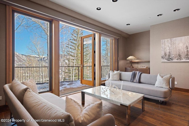 living room featuring a mountain view and dark hardwood / wood-style flooring