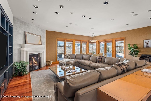 living room with a healthy amount of sunlight, french doors, and wood-type flooring