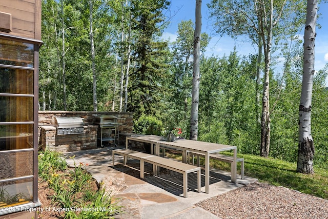 300 Eagle Pines Dr, Aspen, CO 81611 - photo 14