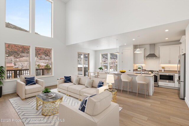 living room featuring a high ceiling and light wood-type flooring