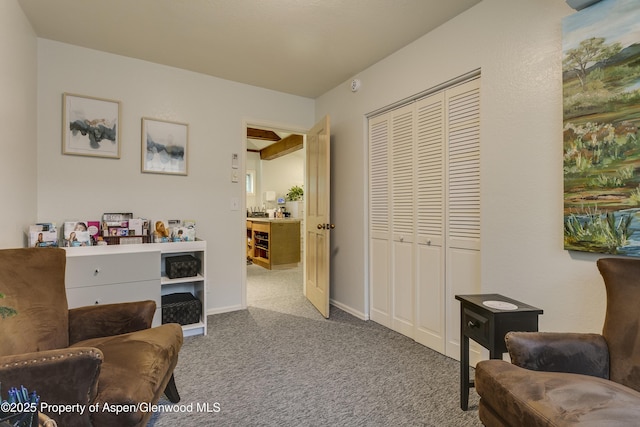 1131 Grand Ave, Glenwood Springs, CO 81601 - sitting room with carpet and baseboards