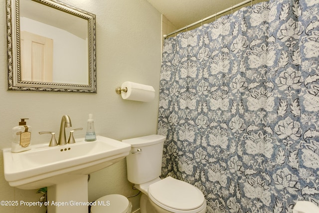 1131 Grand Ave, Glenwood Springs, CO 81601 - bathroom featuring toilet and a shower with curtain