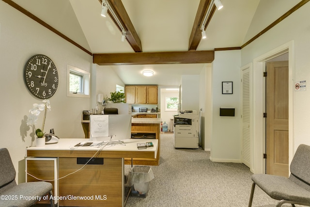 1131 Grand Ave, Glenwood Springs, CO 81601 - office area with light colored carpet and baseboards