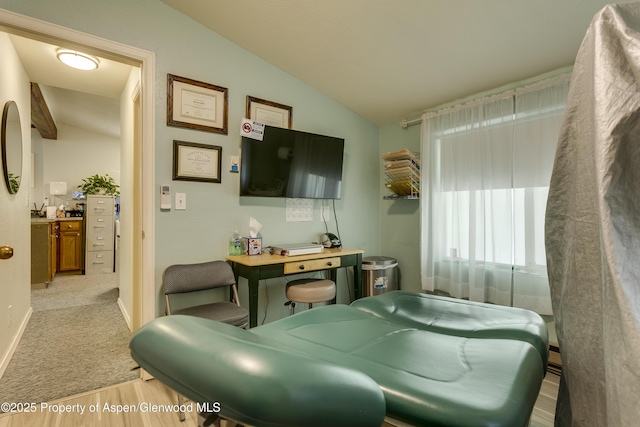 1131 Grand Ave, Glenwood Springs, CO 81601 - living area with vaulted ceiling and light wood-style flooring